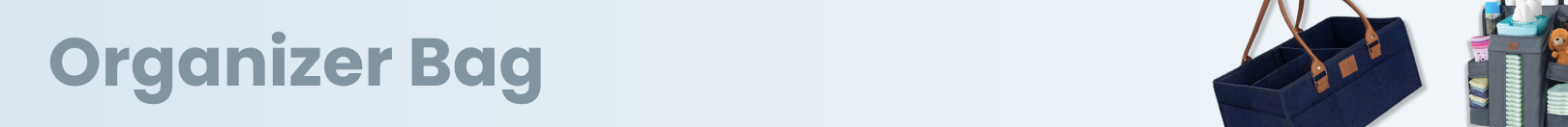 حقيبة تنظيم