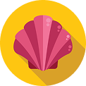 BTS: Seashell Theme